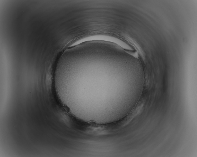 X0000086750113200705111703