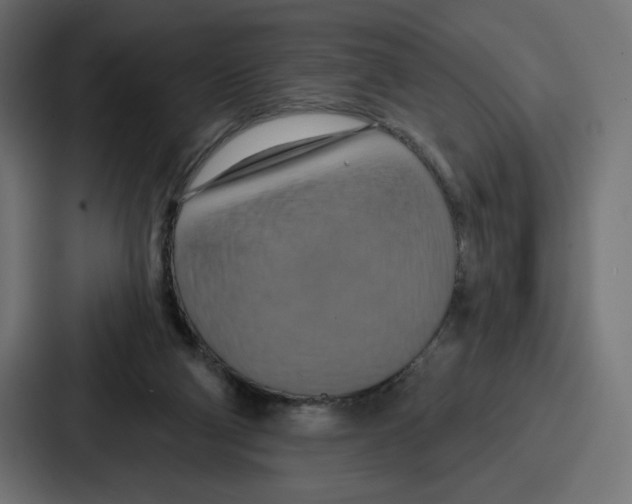 X0000086750114200705111703