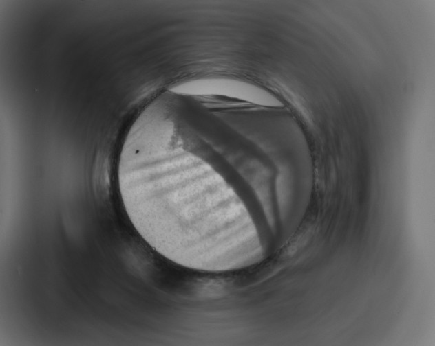X0000086750115200705111703