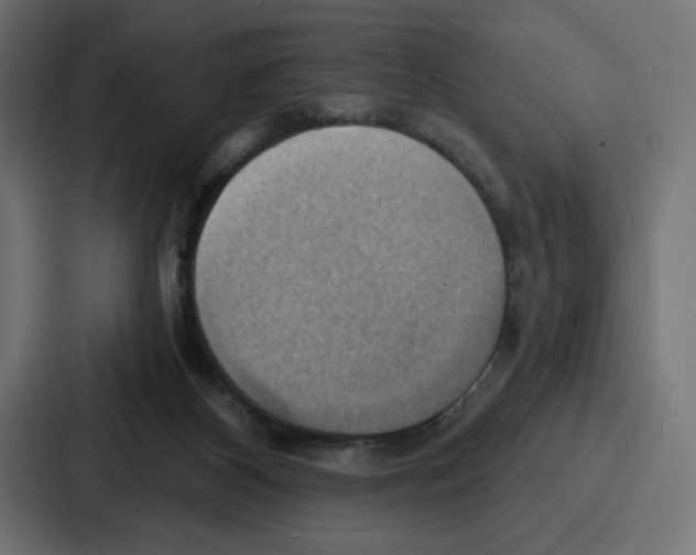 X0000086750116200705111703