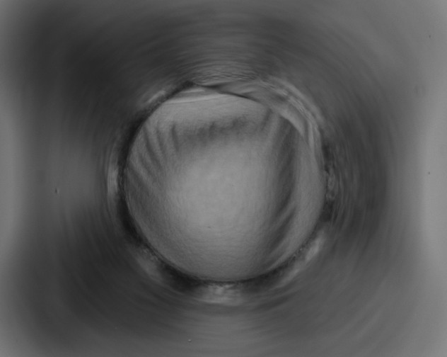 X0000086750117200705111703