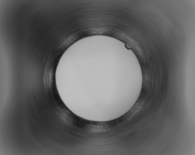 X0000086750118200705111703