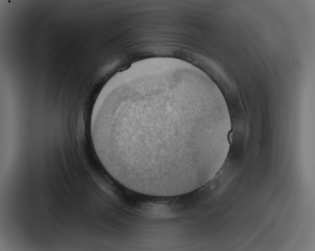 X0000086750120200705111703