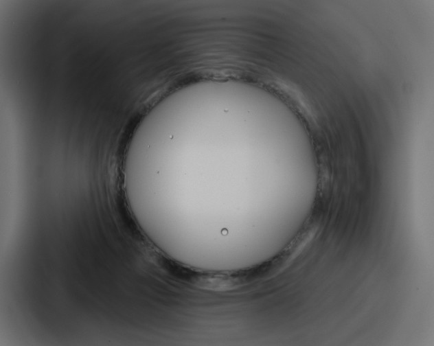 X0000086750121200705111703