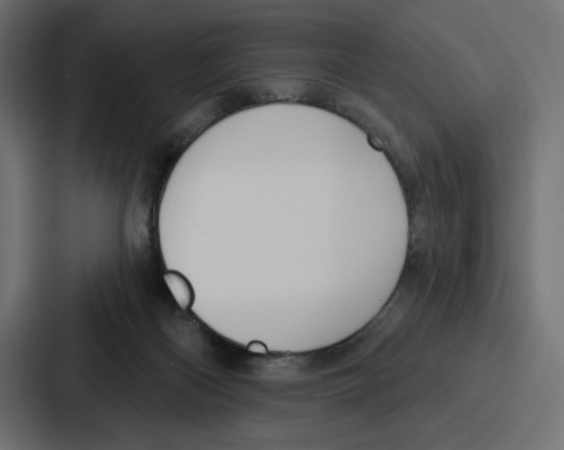 X0000086750122200705111703