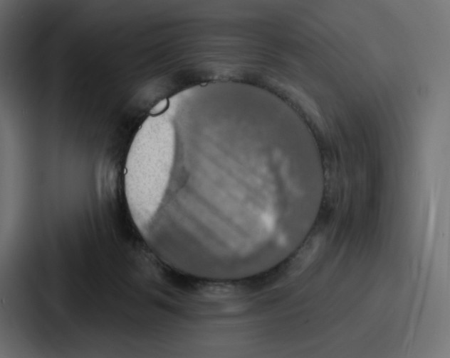X0000086750123200705111703