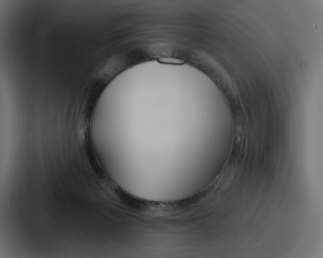 X0000086750125200705111703
