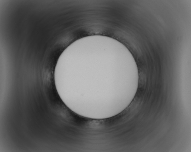 X0000086750126200705111703