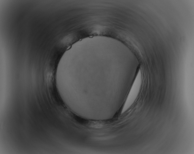 X0000086750127200705111703