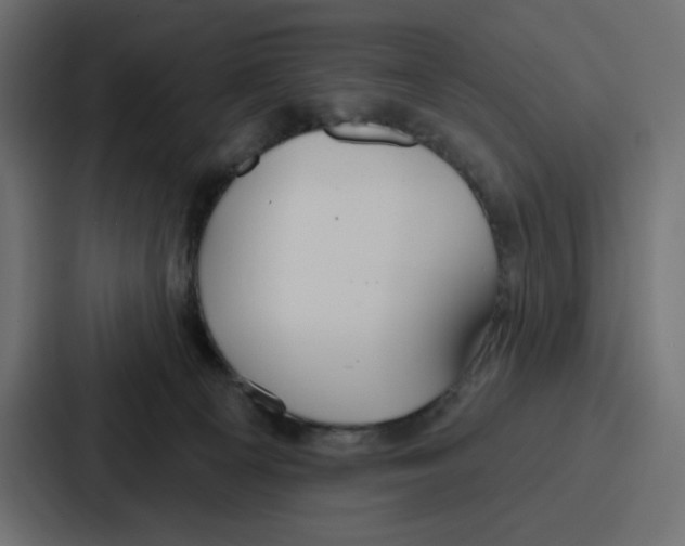 X0000086750129200705111703