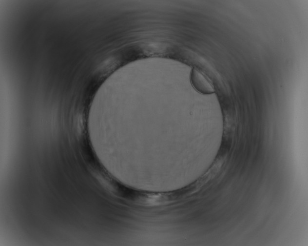 X0000086750130200705111703