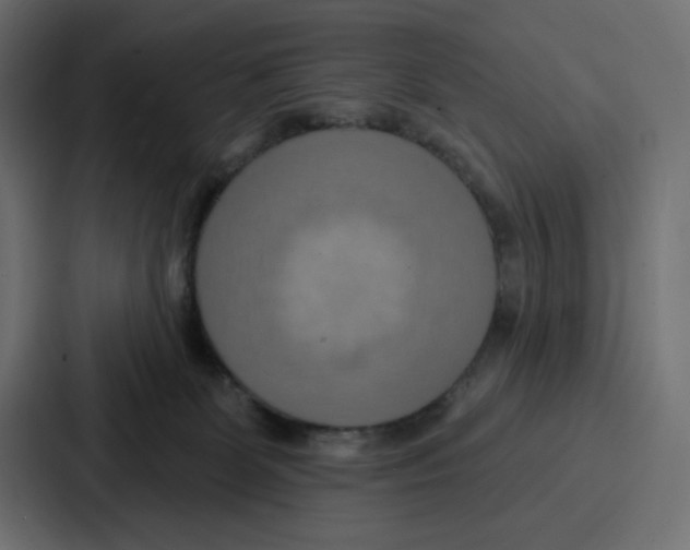 X0000086750131200705111703