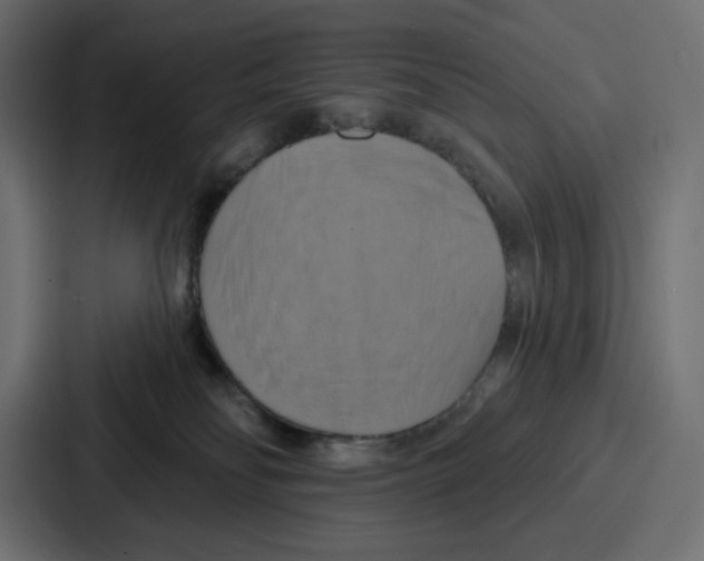 X0000086750134200705111702
