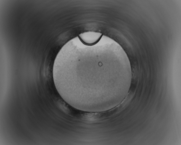 X0000086750136200705111702