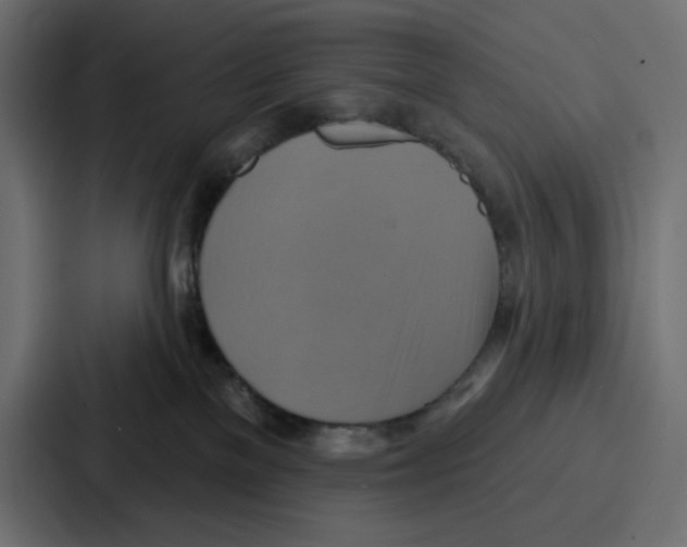 X0000086750137200705111702