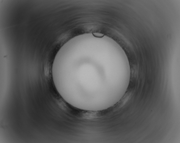 X0000086750138200705111702