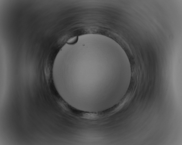 X0000086750139200705111702