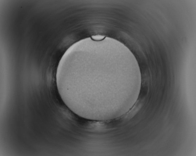X0000086750140200705111702
