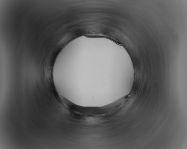 X0000086750141200705111702