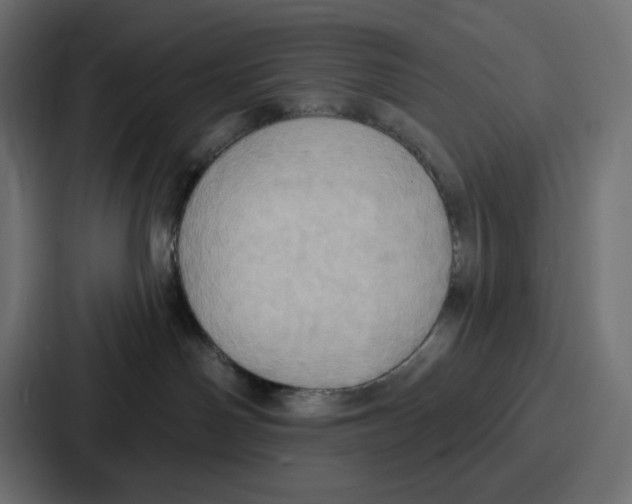X0000086750142200705111702