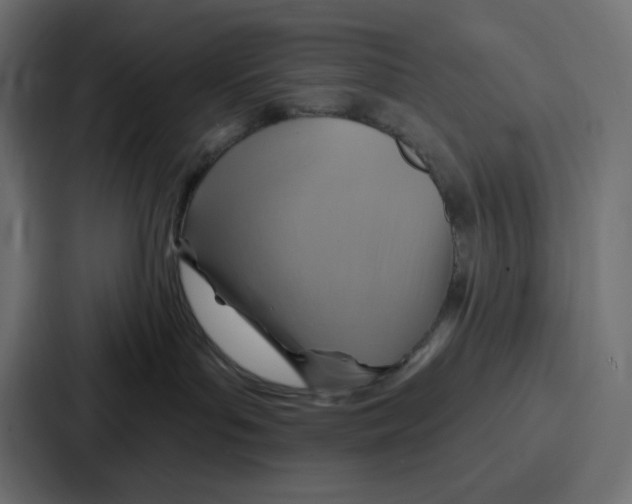 X0000086750143200705111702