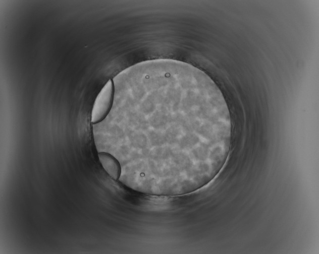 X0000086750144200705111702