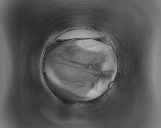 X0000086750145200705111702