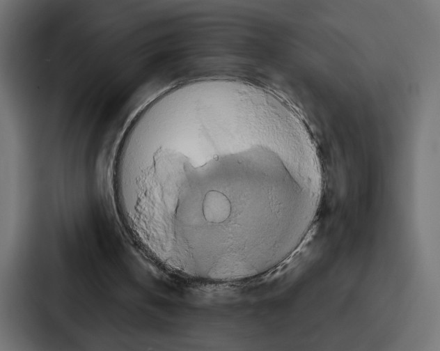 X0000086750146200705111702
