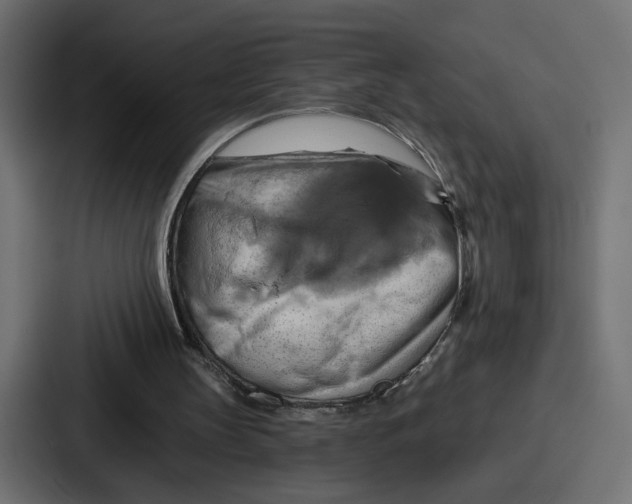 X0000086750147200705111702