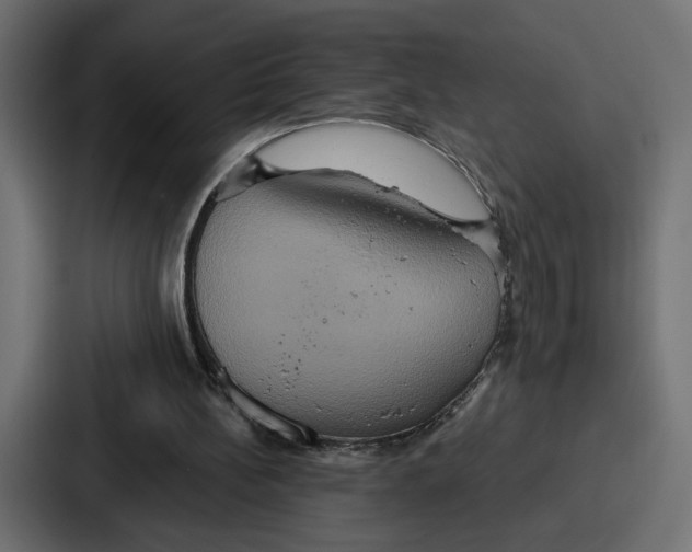 X0000086750148200705111702