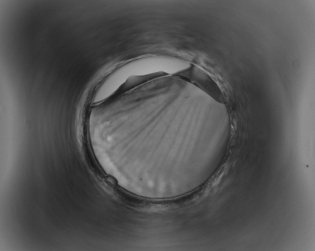 X0000086750149200705111702