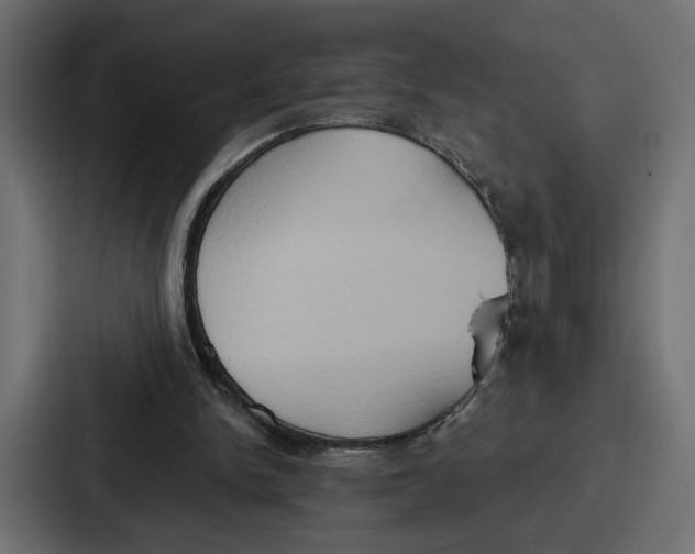 X0000086750150200705111702