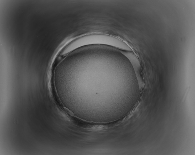 X0000086750152200705111702
