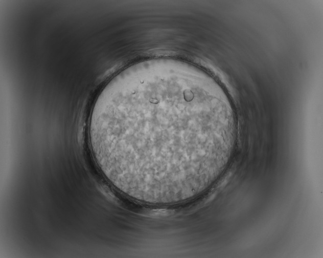 X0000086750153200705111702