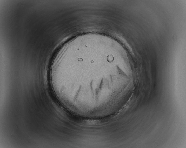 X0000086750154200705111702