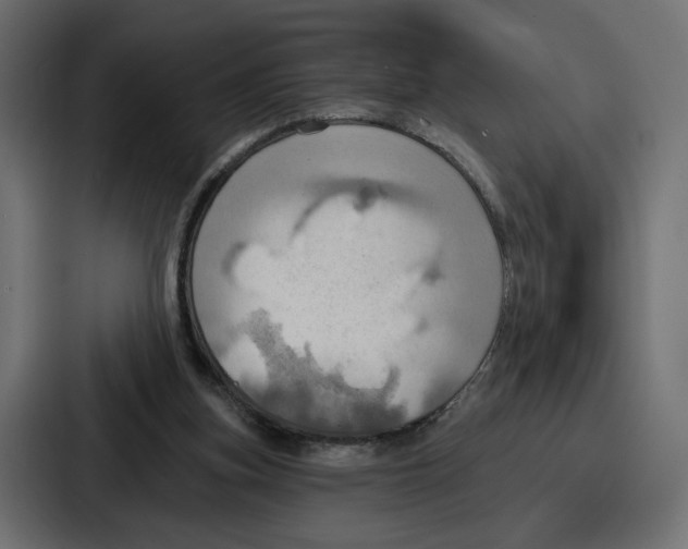 X0000086750155200705111702