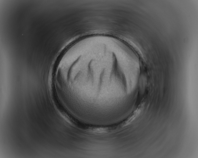 X0000086750156200705111702