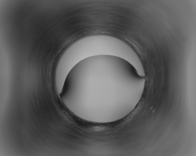 X0000086750158200705111702