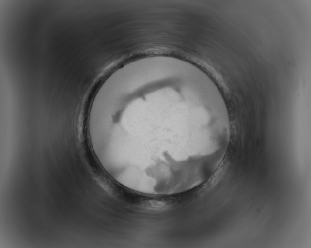X0000086750159200705111702