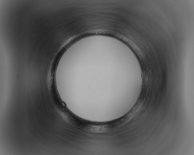 X0000086750160200705111702