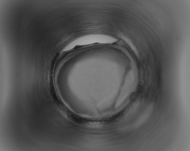 X0000086750161200705111702