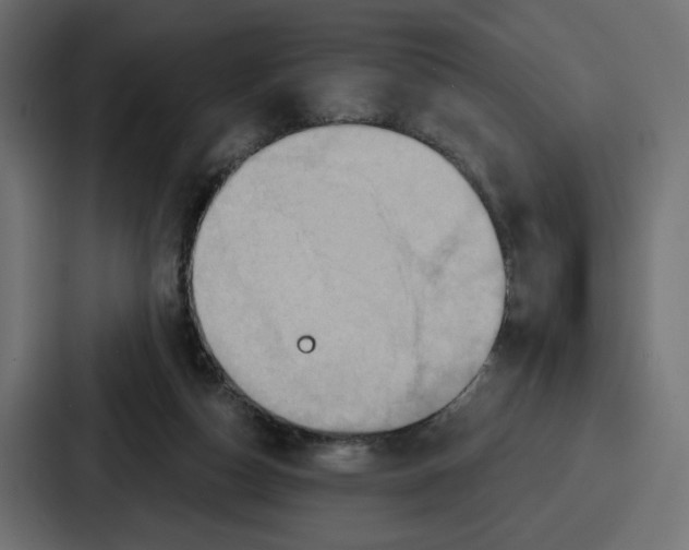 X0000086750162200705111702