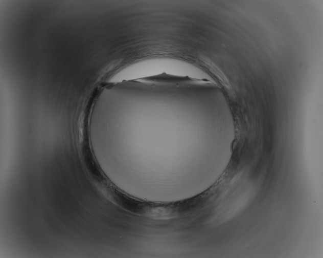 X0000086750163200705111702