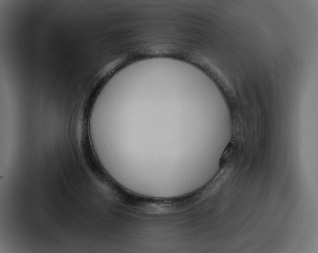 X0000086750164200705111702