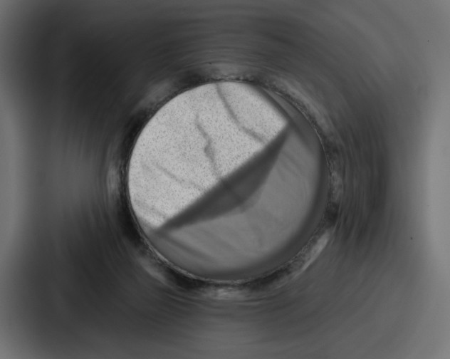 X0000086750165200705111702