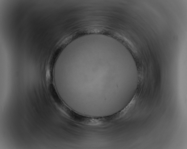 X0000086750166200705111702