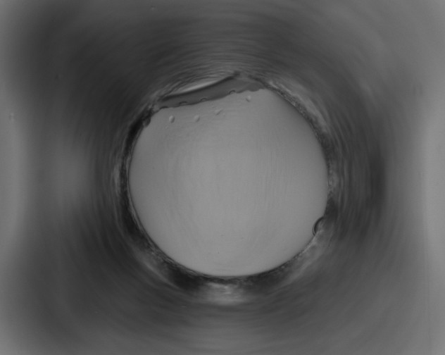 X0000086750167200705111702