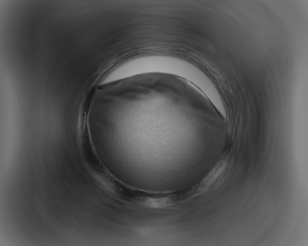 X0000086750168200705111702