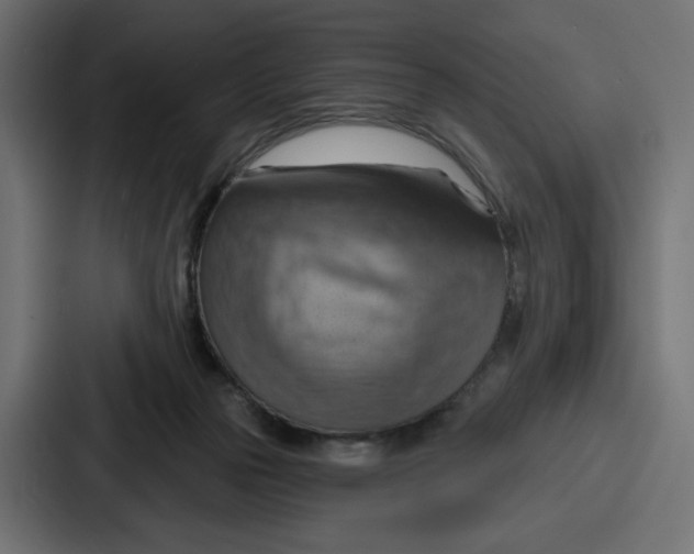 X0000086750169200705111702