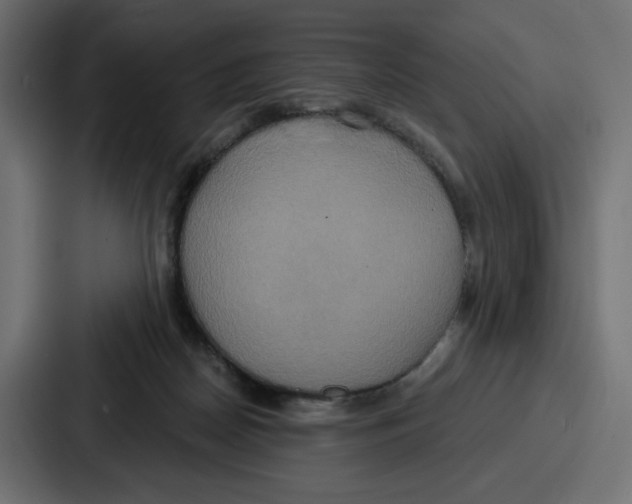 X0000086750170200705111702